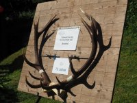 20170707-Abwurfstangenschau