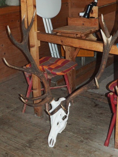 20171220-WeihnachtsfeierWildgemeinschaft