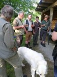 20180506 - Letzter Schuss Schießstand Sattler
