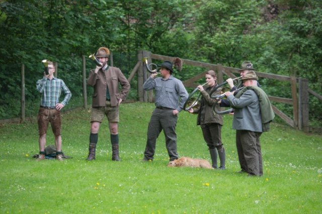 Hunde Präsentation - 2018 