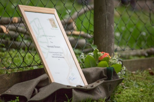 Hunde Präsentation - 2018 