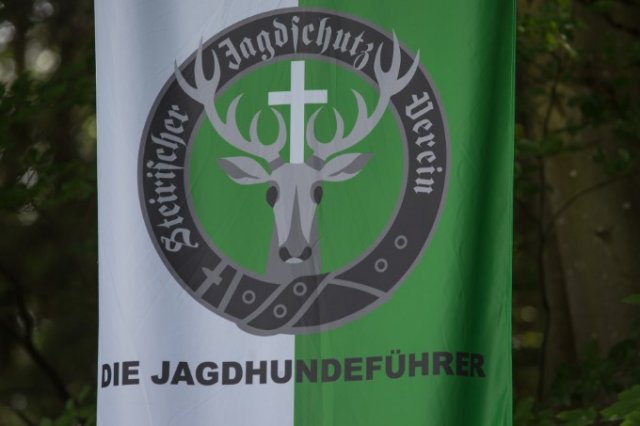 Hunde Präsentation - 2018 