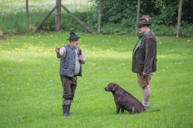 Hunde Präsentation - 2018 