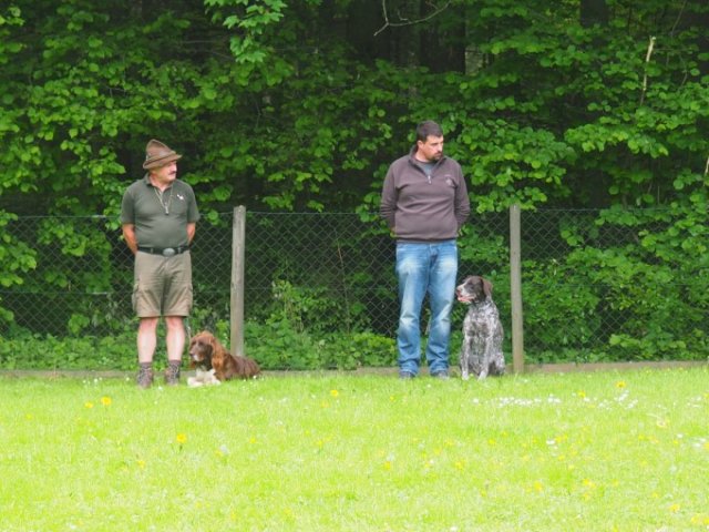 Hunde Präsentation - 2018 