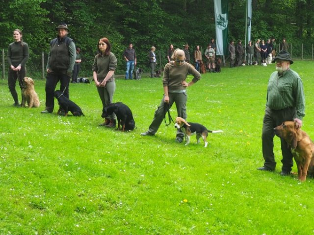 Hunde Präsentation - 2018 