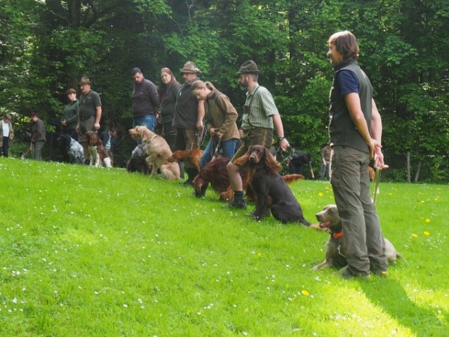 Hunde Präsentation - 2018 