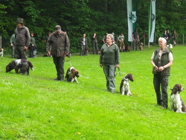 Hunde Präsentation - 2018 