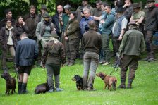 Hunde Präsentation - 2018 