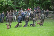 Hunde Präsentation - 2018 