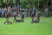 Hunde Präsentation - 2018 
