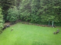 Hunde Präsentation - 2018 