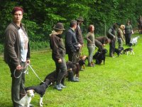 Hunde Präsentation - 2018 
