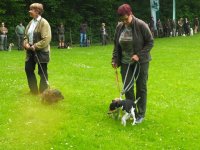 Hunde Präsentation - 2018 