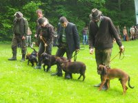Hunde Präsentation - 2018 