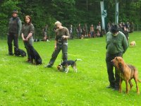 Hunde Präsentation - 2018 