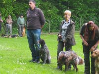 Hunde Präsentation - 2018 