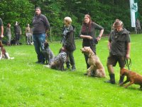 Hunde Präsentation - 2018 