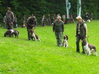 Hunde Präsentation - 2018 