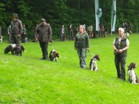Hunde Präsentation - 2018 