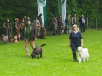Hunde Präsentation - 2018 