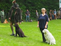 Hunde Präsentation - 2018 