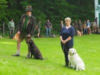 Hunde Präsentation - 2018 