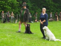 Hunde Präsentation - 2018 