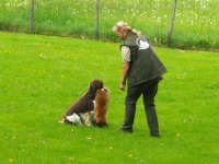 Hunde Präsentation - 2018 
