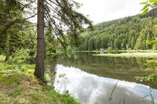 20180601 - Ausflug Ortsstelle Langenwang