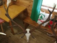 20181203 - Wildgemeinschaft Hohe Veitsch Weihnachten 2018