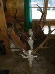 20181203 - Wildgemeinschaft Hohe Veitsch Weihnachten 2018