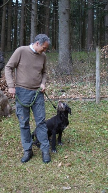 Hundepräsentation 2022