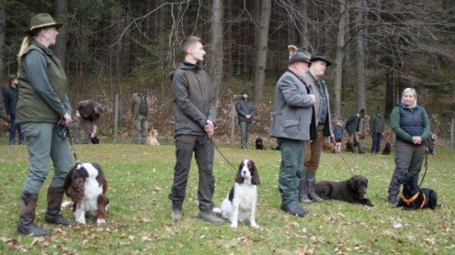 Hundepräsentation 2022
