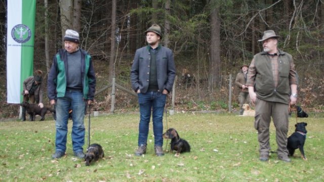 Hundepräsentation 2022