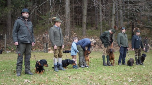Hundepräsentation 2022