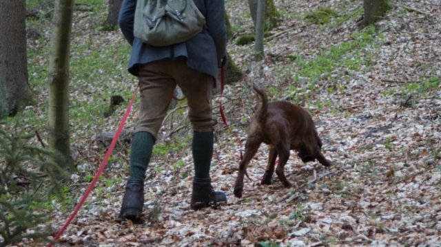 Hundepräsentation 2022