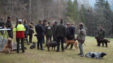 Hundepräsentation 2022