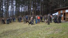 Hundepräsentation 2022