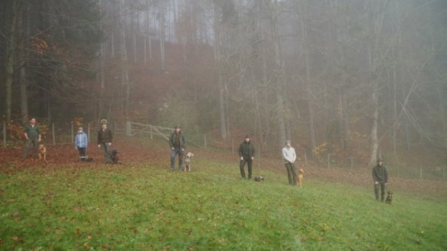 Hundereferat