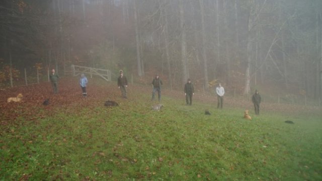 Hundereferat