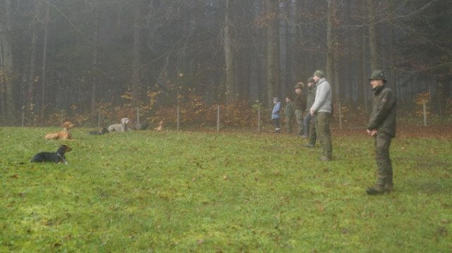 Hundereferat