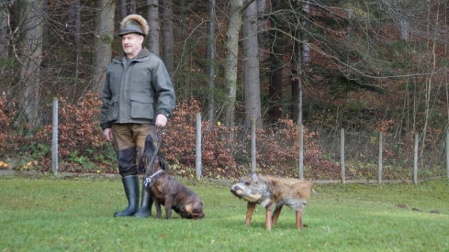 Hundereferat