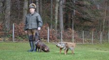 Hundereferat
