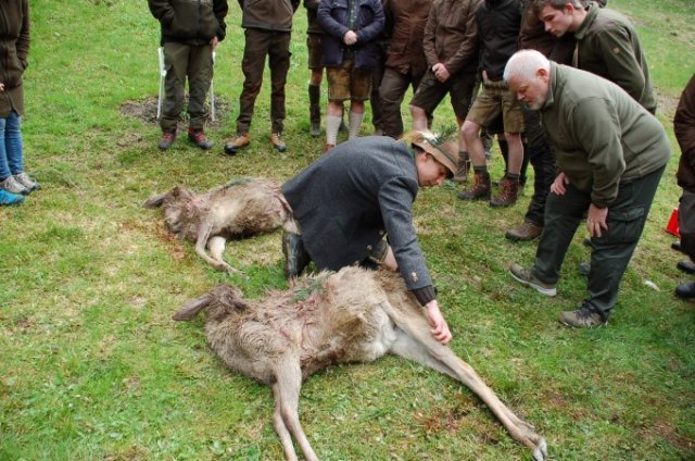 Aufbrechen Jungjäger 2023
