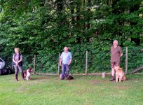 Waldexkursion mit SchülerInnen des Herta Reich Gymnasiums
