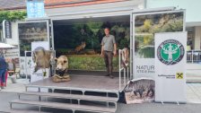 JSV beim Stadtfest Mürzzuschlag