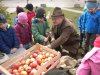 Apfel Aktion 2105