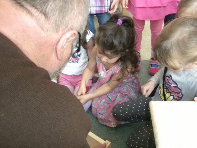 Fledermaus Nistkaster