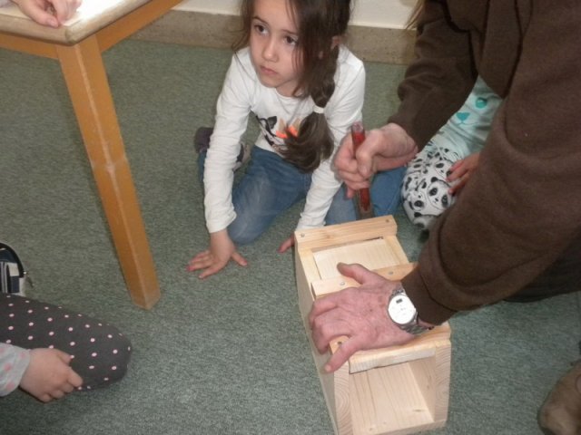 Fledermaus Nistkaster