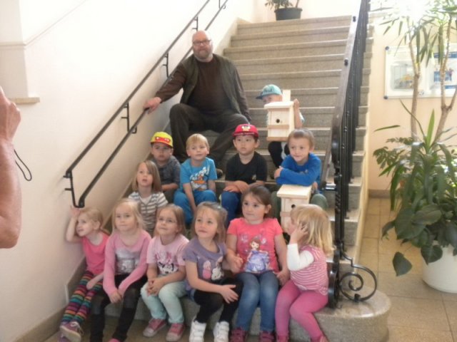 Fledermaus Nistkaster